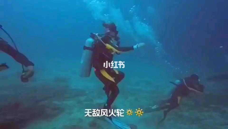 这狗狗的拆家技术比哈士奇还强，主人看到后泪奔！