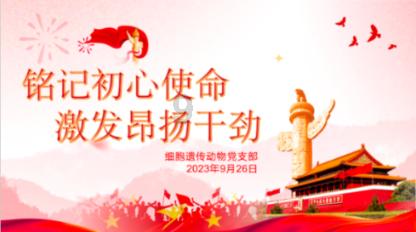 【世界说】2023年美国毒品缴获数量再创纪录且风险外溢